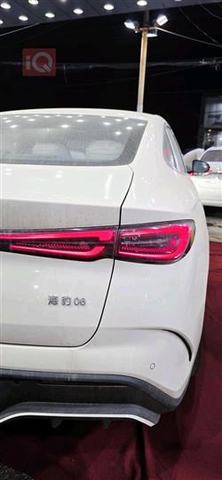 بی وای دی سيل 06 DM-i